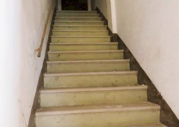 Stable - Palace Reggio nell'Emilia - photo 27