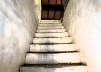 Stable - Palace Reggio nell'Emilia - photo 38