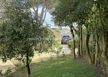 Giardino - Villa via Alessandro Tassoni, Montignoso - foto 21