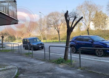 Locale Commerciale Viale Europa, Cassino - foto 15