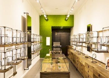 David Marc 3.jpg - Locale Commerciale Viale Giovanni Pacini, Lucca - foto 3