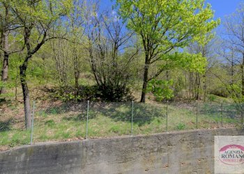 Rif 1473(Copy110) (58).jpg - Terratetto - Terracielo Pontinvrea - foto 19