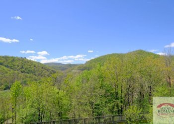 Rif 1473(Copy110) (66).jpg - Terratetto - Terracielo Pontinvrea - foto 21