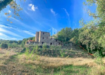 casale-del-bruco-marsciano-19.jpg - Casale Marsciano - foto 20