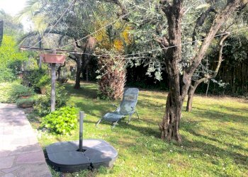 WhatsApp Image 2024-04-17 at 15.30.01(3).jpg - Casa semi indipendente Castelnuovo Magra - foto 4