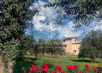 casale-delle-bacche-todi-umbria-14.jpg - Casale Strada Provinciale 37, Avigliano Umbro - foto 19