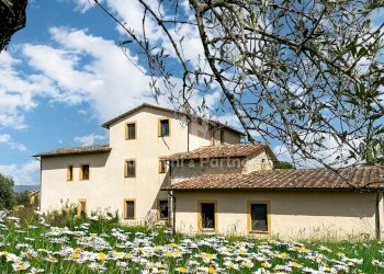 casale le bacche todi umbria 3.jpg - Casale Strada Provinciale 37, Avigliano Umbro - foto 15