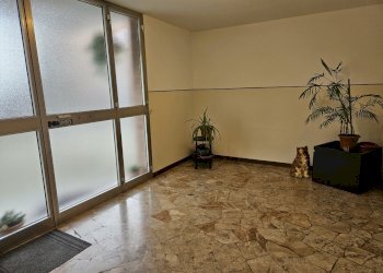 Non-buildable land Ferrara - photo 2