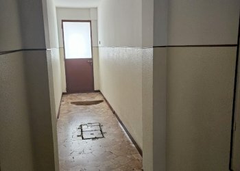 Non-buildable land Ferrara - photo 5