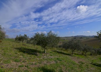 Rustico Appignano del Tronto - foto 8