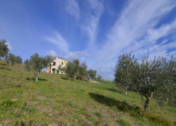 Rustico Appignano del Tronto - foto 9