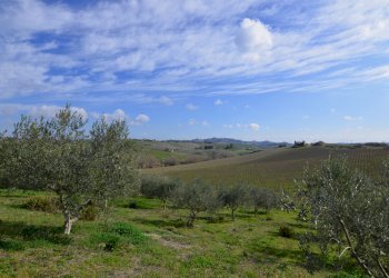 Rustico Appignano del Tronto - foto 10