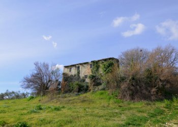 Rustico Appignano del Tronto - foto 11