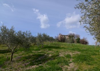 Rustico Appignano del Tronto - foto 14