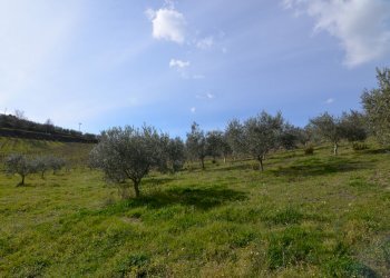 Rustico Appignano del Tronto - foto 15