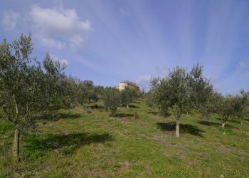 Rustico Appignano del Tronto - foto 16