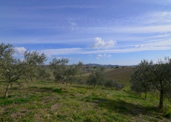 Rustico Appignano del Tronto - foto 18