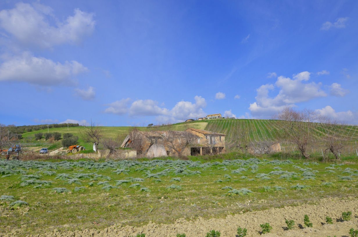 Rustico Appignano del Tronto - foto 3