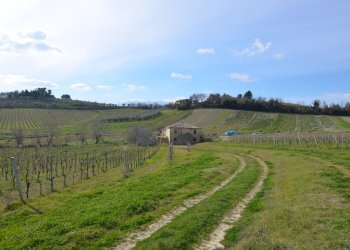 Rustico Appignano del Tronto - foto 4