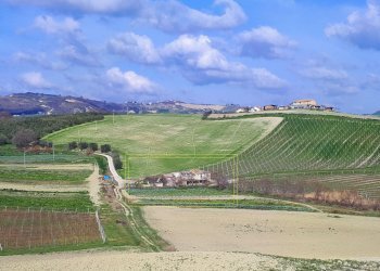 Rustico Appignano del Tronto - foto 5