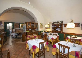 Attività Commerciale via verdi, Torino (zona Centro) - foto 12