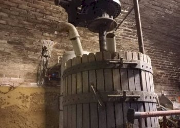 Box auto - Rustico via Dottor Giuseppe Ollino, 6, frazione Santa Caterina, Rocca d'Arazzo - foto 47