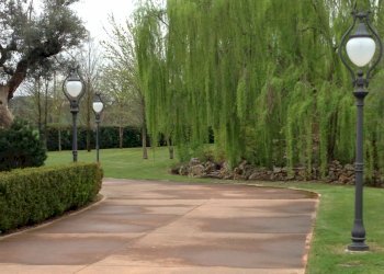 Villa Unifamiliare Forlì - foto 6