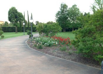 Villa Unifamiliare Forlì - foto 7