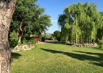 Villa Unifamiliare Forlì - foto 9