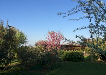 Villa Unifamiliare Forlì - foto 12