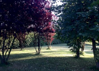 Villa Unifamiliare Forlì - foto 20