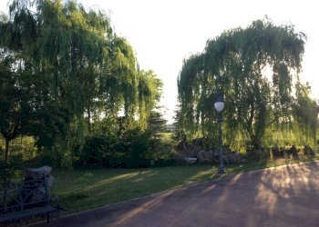 Villa Unifamiliare Forlì - foto 22