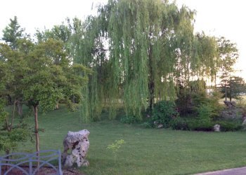 Villa Unifamiliare Forlì - foto 24