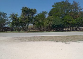 Villa Strada Panoramica Adriatica, Pesaro - foto 4