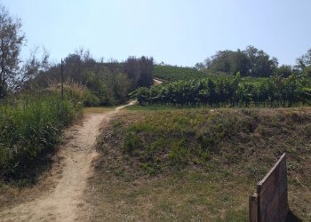 Villa Strada Panoramica Adriatica, Pesaro - foto 5