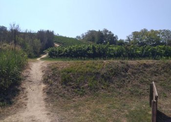 Villa Strada Panoramica Adriatica, Pesaro - foto 6