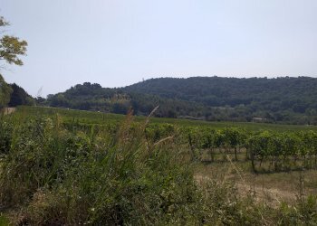 Villa Strada Panoramica Adriatica, Pesaro - foto 11