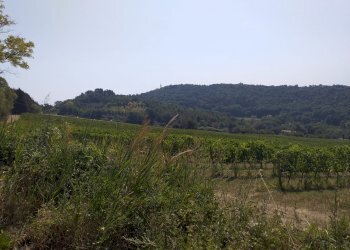 Villa Strada Panoramica Adriatica, Pesaro - foto 15