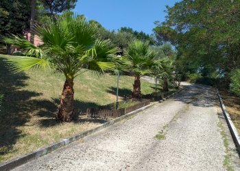 Villa Strada Panoramica Adriatica, Pesaro - foto 31