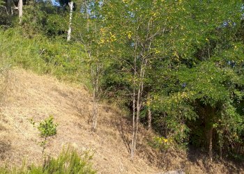 Villa Strada Panoramica Adriatica, Pesaro - foto 42