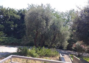 Villa Strada Panoramica Adriatica, Pesaro - foto 46