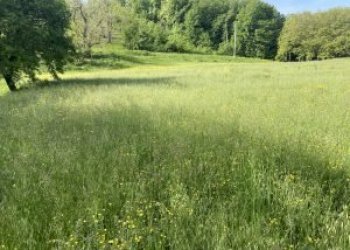 Terreno agricolo Guiglia - foto 2