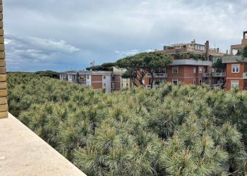 Trilocale Via Federico Paolini, Roma - foto 7