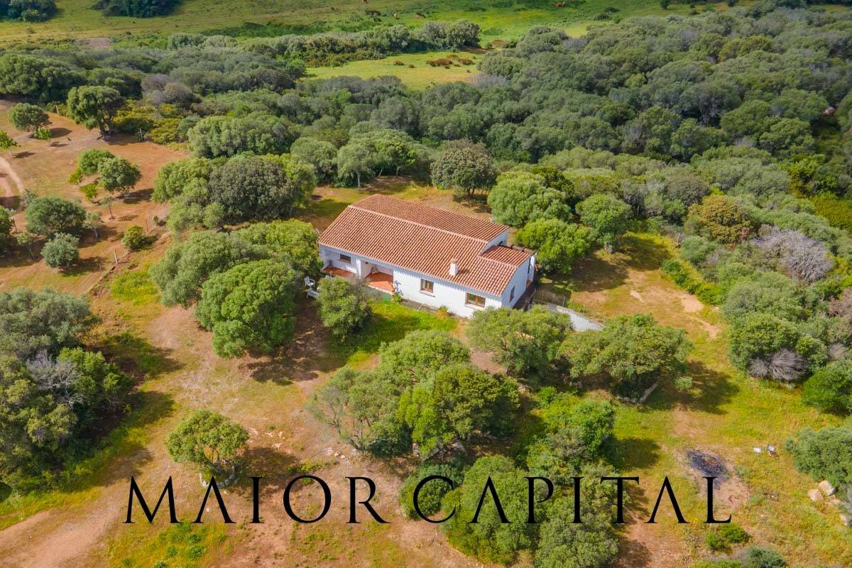 Villa Unifamiliare Loc. Barrabsa, Palau - foto 3