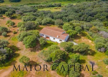 Villa Unifamiliare Loc. Barrabsa, Palau - foto 3