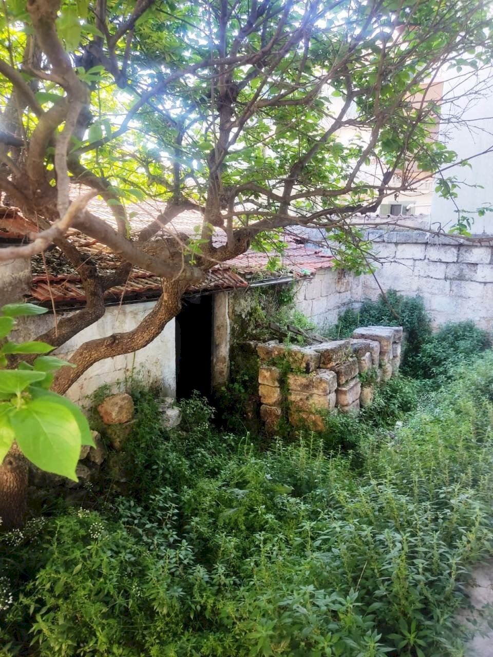 PHOTO-2024-04-27-11-22-47 (5).jpg - Rustic Vico Aurelio Saffi 4, Sammichele di Bari - photo 1