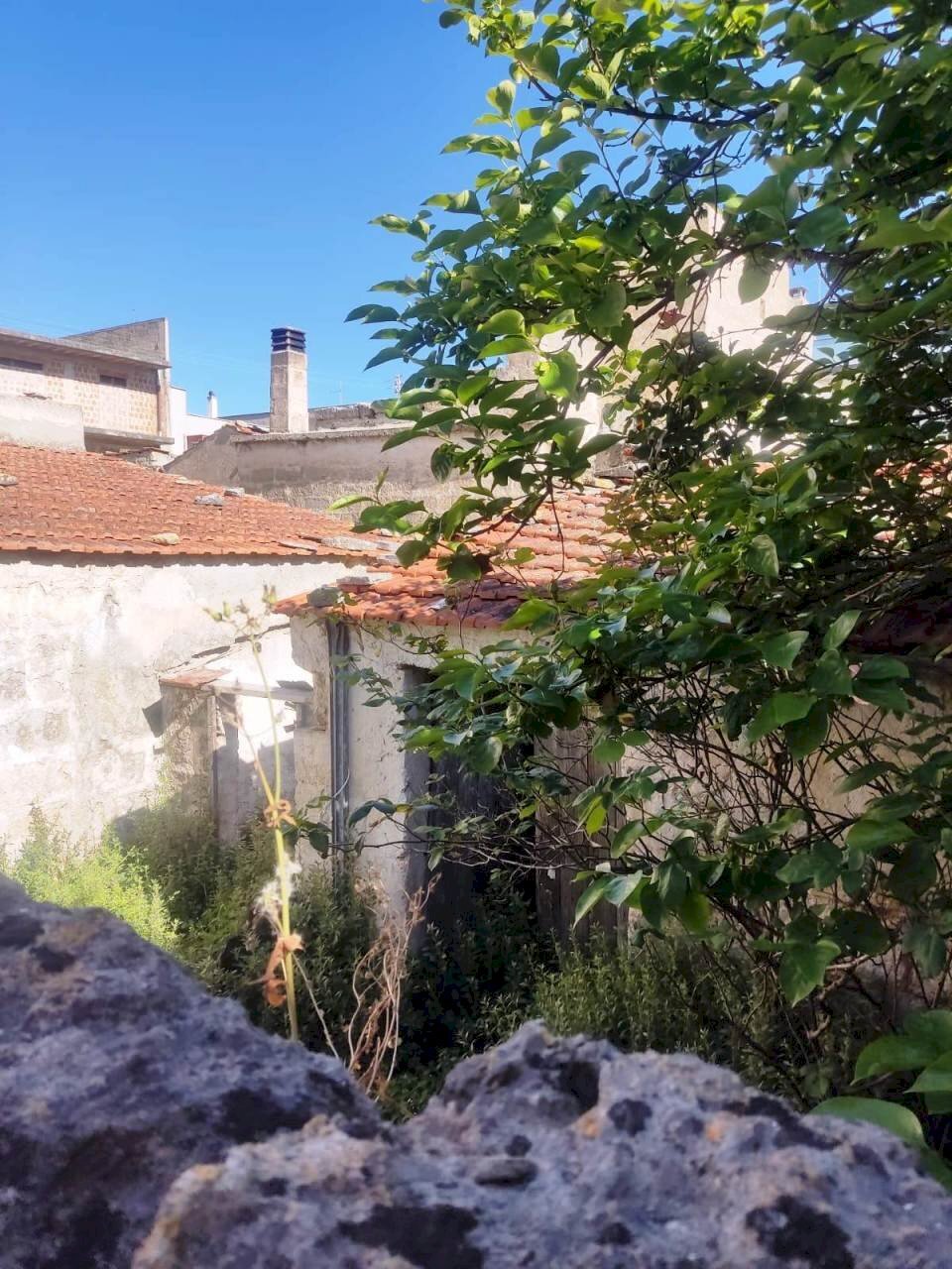 PHOTO-2024-04-27-11-22-47 (3).jpg - Rustic Vico Aurelio Saffi 4, Sammichele di Bari - photo 3