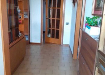 843fb901-7e30-41f4-b474-8b5c386cf129.jpg - Porzione di casa Via dei frutteti 24, Pesaro - foto 11