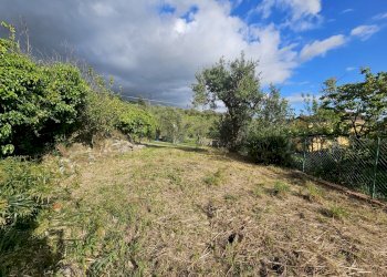 44.jpg - Porzione di casa Via Montecchio 68, Castelnuovo Magra - foto 20