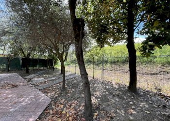 Casa indipendente Ravenna - foto 29